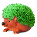Avatar ch-ch-ch-chia 