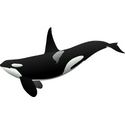 Avatar FriendlyOrca 