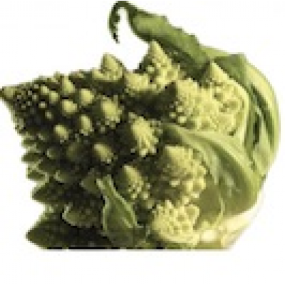 Paleoveganista picture