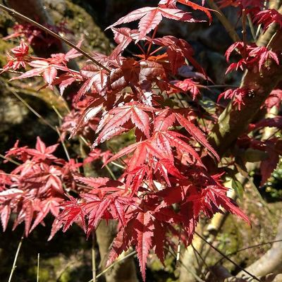 柯詠哲 picture