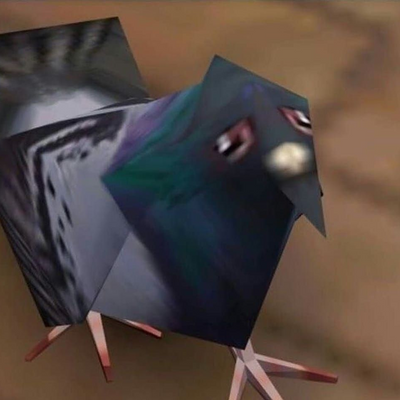 drewnoaorta picture