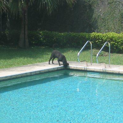 sandybadlands picture