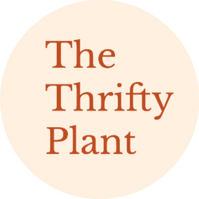 thethriftyplant picture