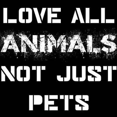 kathitchcock picture