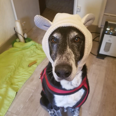 LaetitiaLeGouguec picture