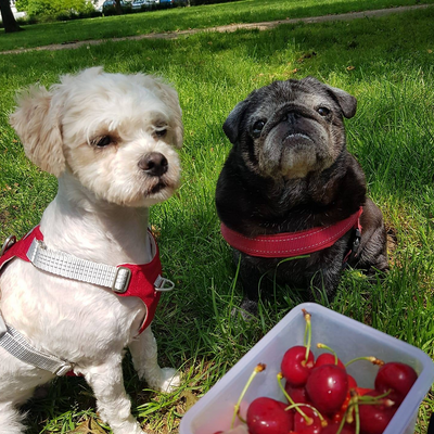 ErikaSevimliDagteki picture