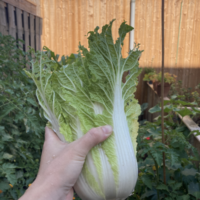 candy-eats-you picture