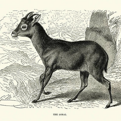 JaelMasllorens picture