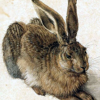 Rabbit_is_wise picture