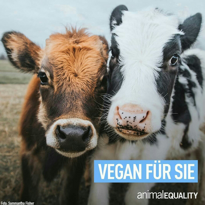PegVegan picture