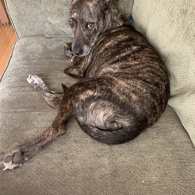 Quincy_Washington picture