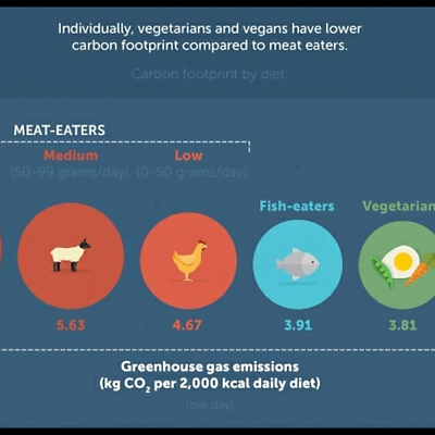 VanVeganHanoi picture