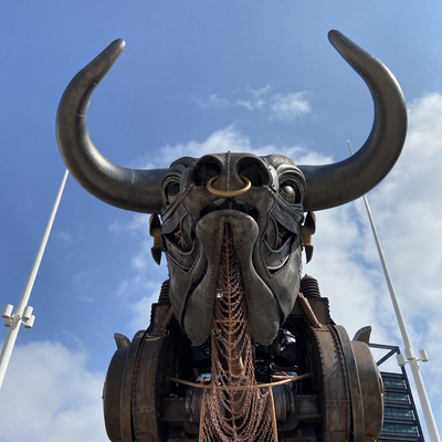 Vegannabelle picture