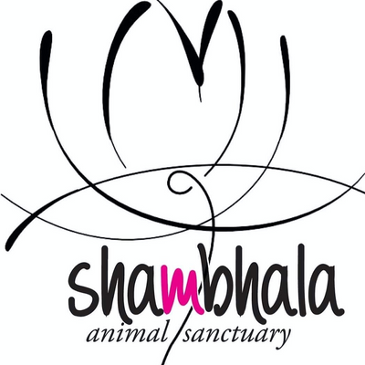 Shambhala picture