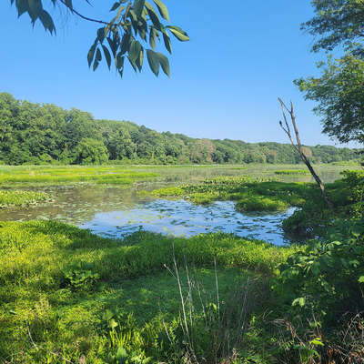 coffee_and_suffering picture