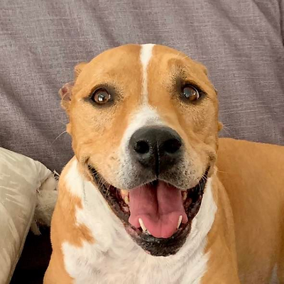 TrishMcdowell picture