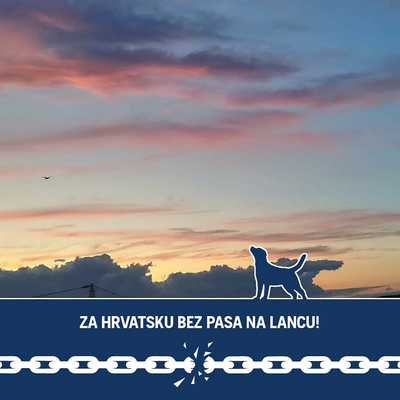 KarlaČujić-Klenovar picture