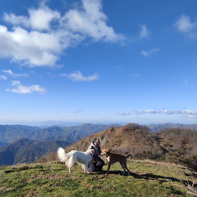 FedericaRossi94 picture