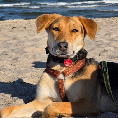 EstherSteffenhagen picture