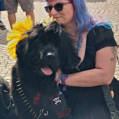 DeterminedSpoon picture