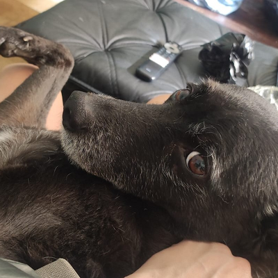 FernandaReis picture