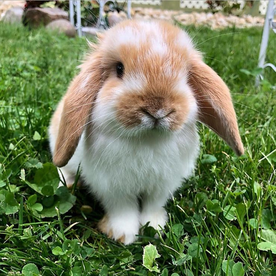 Seedybreadgirl picture