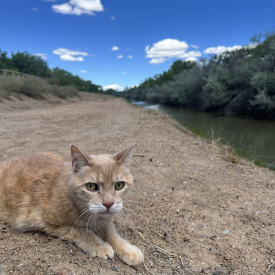 fufflycloud6 picture