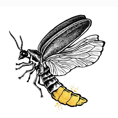 Luciole.restaurant picture