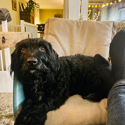 JeroenVincent picture