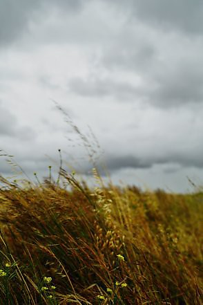 libxtn picture