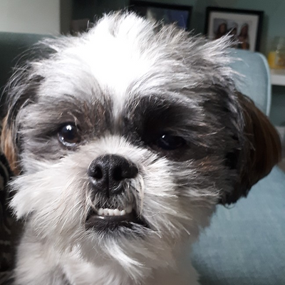 ChristineSmith picture