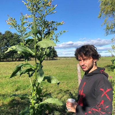 Valentin-san picture