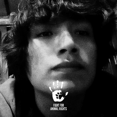 DavidTorreGarcía picture