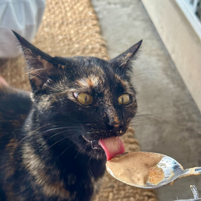 sam_man_thaaa picture