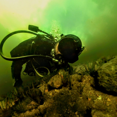 RickeyVesterbakka picture