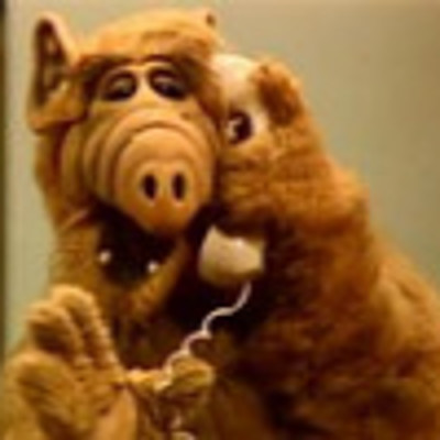 GuyInnagorillasuit picture