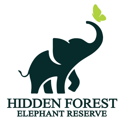 HiddenForestPhuket picture