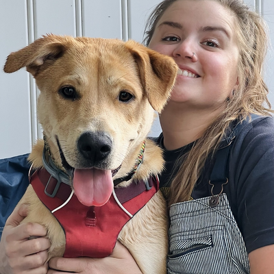 abcdefghijcay picture