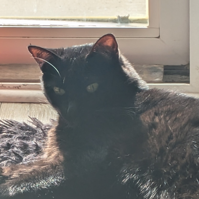 UltanSchmultan picture