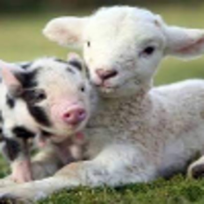 TastyorNasty picture