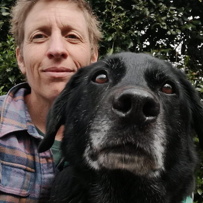 Leodespyrenees picture