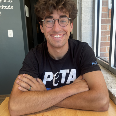 Noahtschmitt picture