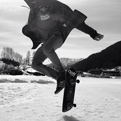 greeniguanabar picture