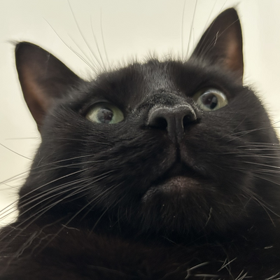 ryuwu picture