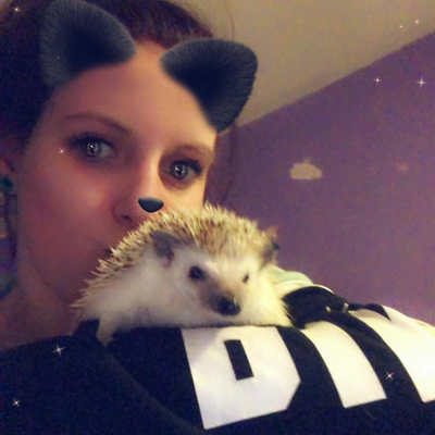 honeydukeconfections picture