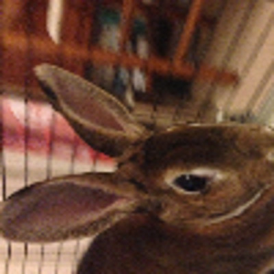 Hannamarie0098 picture