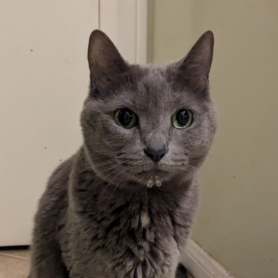 spicyum picture