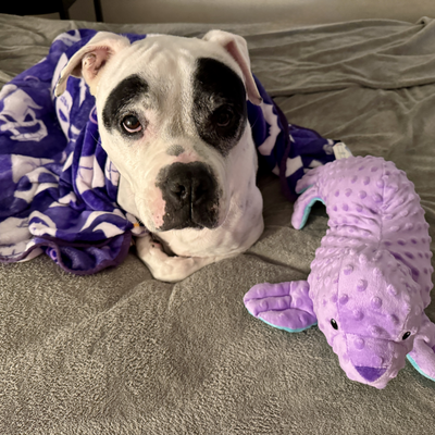 waterfingers picture