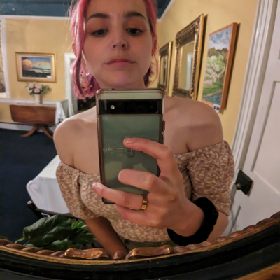 Vegansloot picture