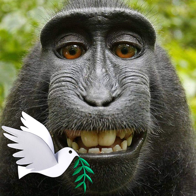 Christelle_Paris picture